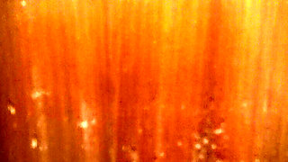 Souzan Halabi First Time Blowjob in Kitchen - Amateur Arab Teen Hijab Girl Dirty Talk Close Up 4K