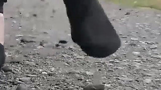 Cult Fun with the Puddles on the Country Road