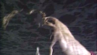 Vintage blonde babe christy canyon rough sex