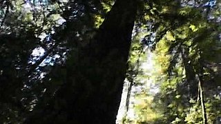 Solo masturbation of a beautiful amateur blonde