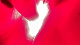 Red Light Dildo Play