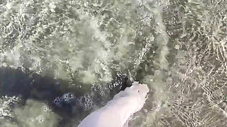 Beach Feet Teasing