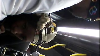 Brain's Blowjob on the Bus