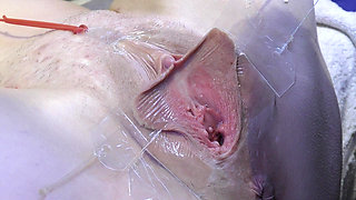 3 Licking Pussy Spread Far From Very Close