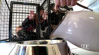 Nick Lang tames 2 beauties in cat role play [Part 1]