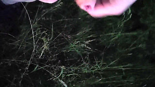 Nice Wank in the Park