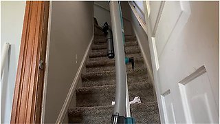 The Maid Vacuums