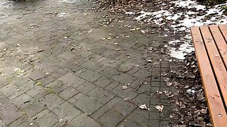 Balkan Fun - Mihaela