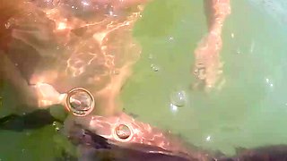 Blonde Amateur Finger Fucked Outdoors In Public