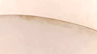 Licking Toilet Till Orgasm