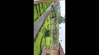 First Time Fucking in the Presidential Suite.