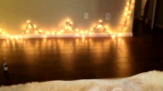 Horny asian teen solo