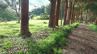 THE PICNIC ARRIVES AND YOU CRAVE OUTDOOR FUCKING