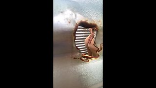 Amateur Camera in Outdoor Latina Culolona