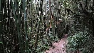 Public Forest Walk, Masturbating and Naked on Webcam