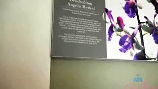 You creampie into skinny babe POV Style (Gia Page)