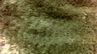 Amateur couple hidden cam