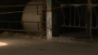 The rope - German BDSM slave pissing