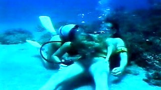 Hot amateur blonde blowjob in HD