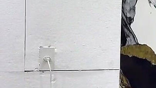 A Japanese Woman and a Brunette Had Sex with a Couple