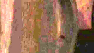 Boundheat xxx with pin-up nymph from Bound Heat