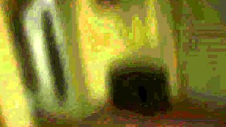 Sensual Tawaif Dance Performance