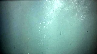 Hot babe seka vintage blowjob video