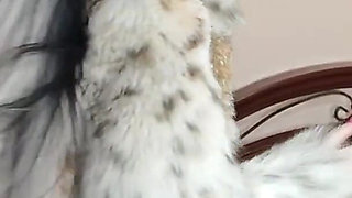 Worship My Extremely Long Neon Nails, Satan and Furs