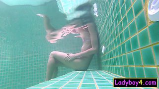 Pretty Asian shemale Prem POV blowjob