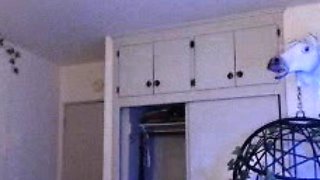 Cute curly brunette solo webcam masturbation