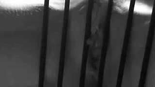 amateur webcam girl with stockings see