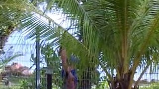 Blonde Chikita shows off her big boobs and bush