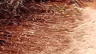 Outdoor sex full body nude outdoors sex