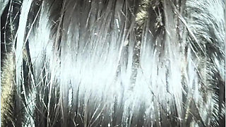 I Put My Dick in Divya's Mouth at Night.