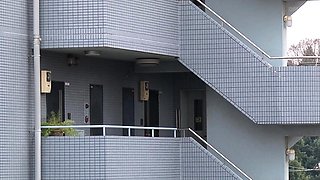 Japanese milf likes public blowjob