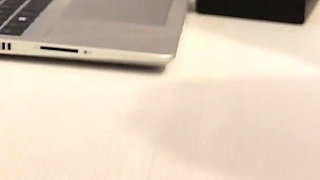 Voila Comment Ce Passe Une Visio Avec Ma Chienne