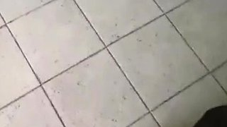 Anal sex in public wc