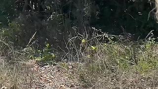 You Won’t Believe What I Did Outside Today! (part 1 of 2)