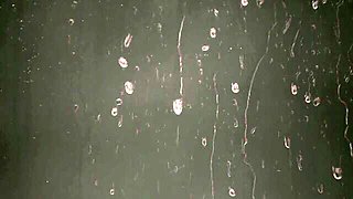 Lass's golden shower dirt by VIPissy