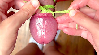 Your Dick Is My Rules! Shibari Cock!