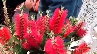 - fuck party in the morning with milf women and other