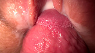 Close up fuck creamy stepsister